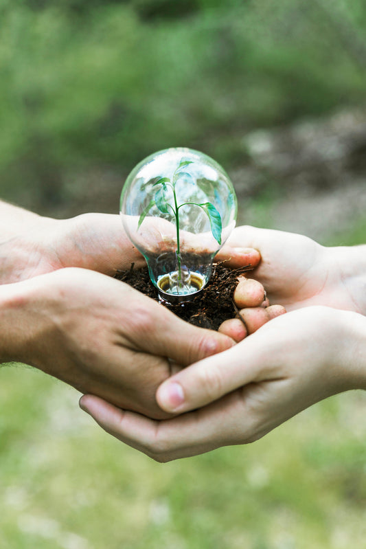 Earth Day 2025 🌍 : Shaping a Greener Future with Sustainable Glassware