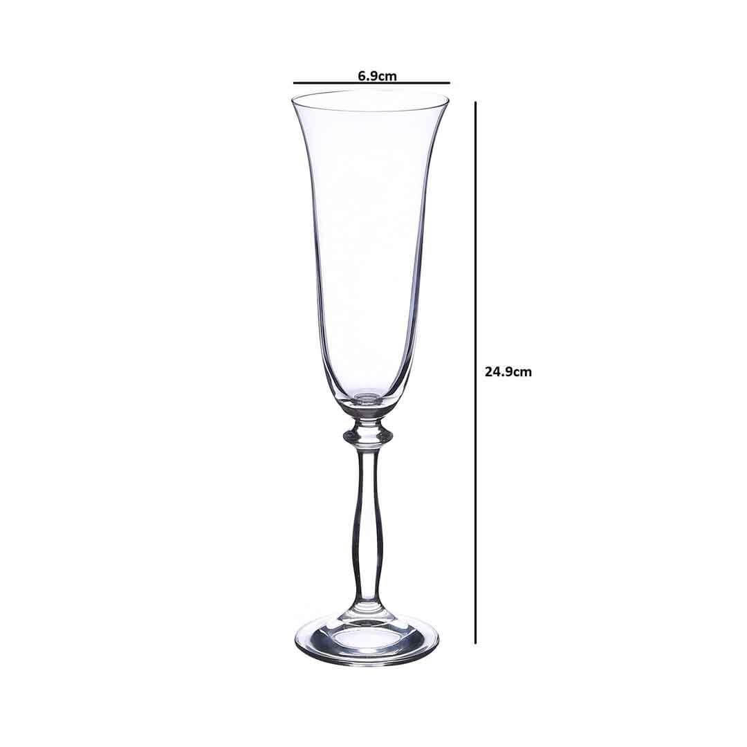 Dimensions of Sleek champagne flute with unparalleled clarity