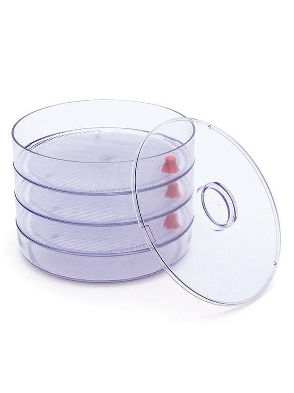 JVS Sprout Maker 3 Bowl | Kitchen Storage
