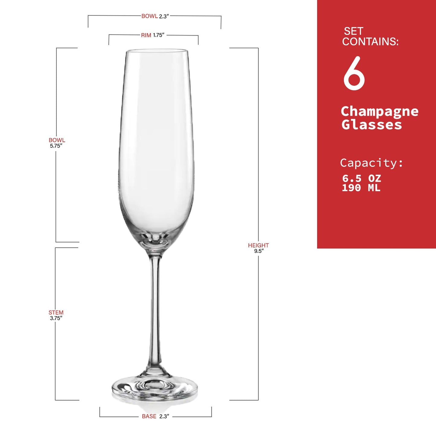 Dimensions of Refined champagne glass for upscale events