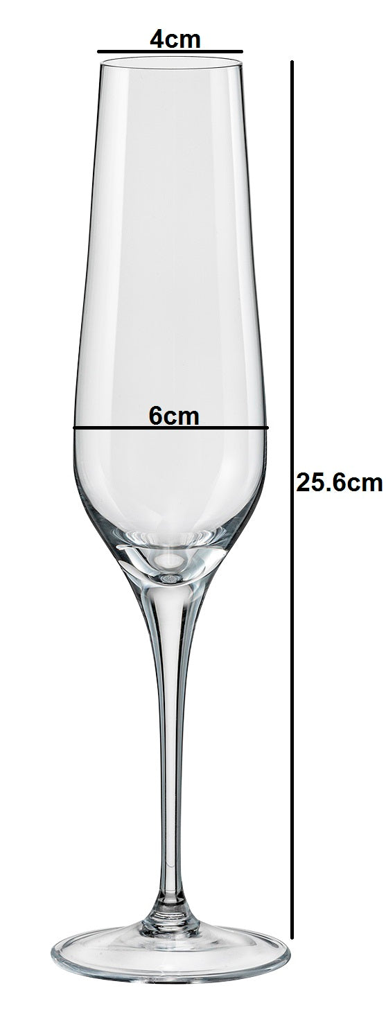 Dimensions of Durable and timeless champagne stemware