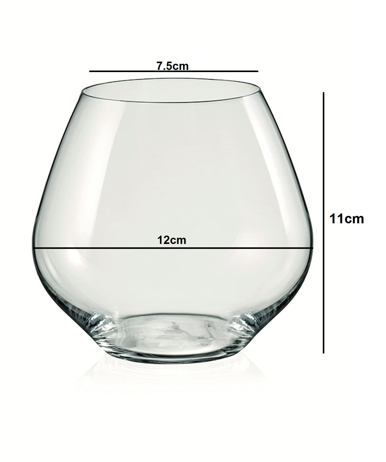 Dimensions of Sophisticated wine glasses perfect for elegant occasions