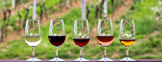 The Science of Wine Glass Shapes: How They Affect Flavor 🍷🔬