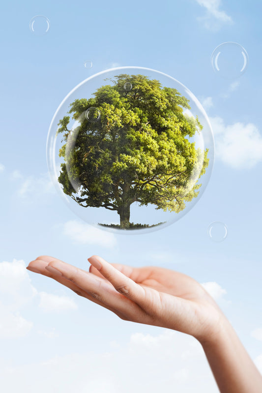 Benefits of Using Eco-Friendly Glassware