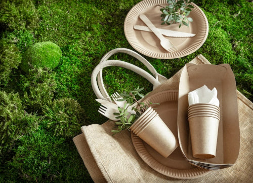 Biodegradable and Compostable Options Emerge in Tableware Design