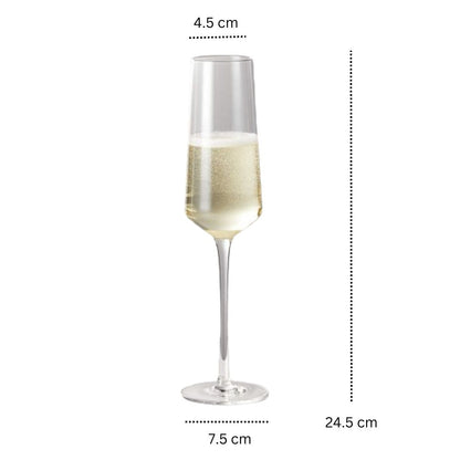 Sparkle Champagne Flute - Set Of 6