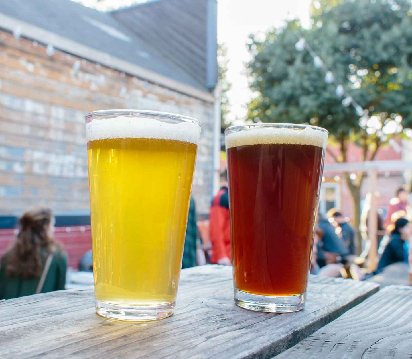 Set of Beer Glasses on a wooden table.