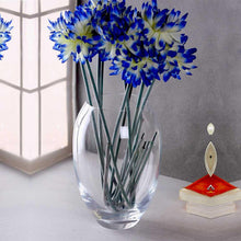 Load image into Gallery viewer, Bohemia Crystal Vase Vase Set, 225mm, Set of 1pcs, Transparent, Non Lead Crystal Glass | Vase