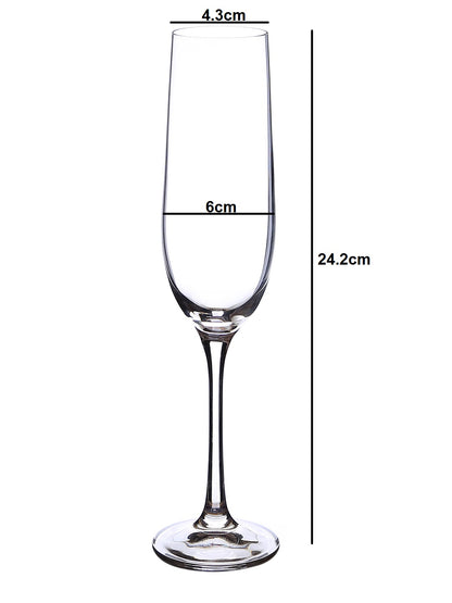 Dimensions of a Luxurious champagne glass perfect for celebrations