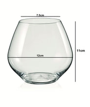 Load image into Gallery viewer, Bohemia Crystal Amoroso Imported Stemless Gin/Cocktail/Wine Glass Set, 580ml, Set of 2 Gift Box
